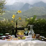 بيت ضيافة Bio & Vegi Krennleiten Schönau am Königssee