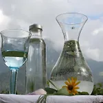 Gasthof Bio&vegi Krennleiten *